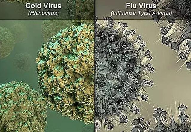 上海流感最新動態(tài)，全面應對與深度解析