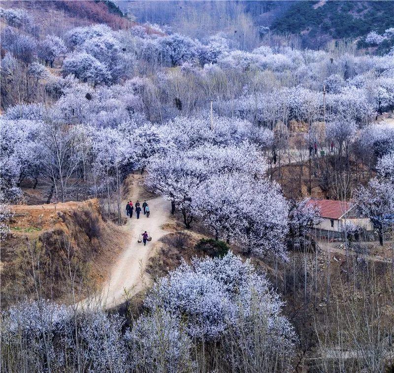 五蓮貼吧最新消息,五蓮貼吧最新消息，探尋地方動態(tài)，聚焦時(shí)事熱點(diǎn)