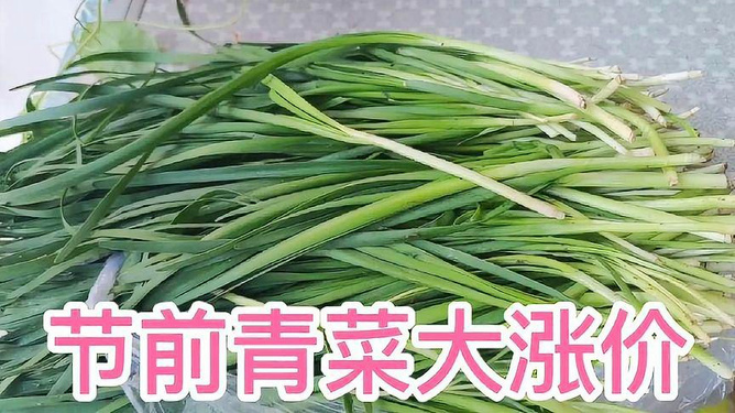 韭菜最新價(jià)格,韭菜最新價(jià)格，市場(chǎng)走勢(shì)與種植前景分析