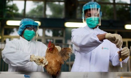 全球關(guān)注下的H7N9疫情動態(tài)與防控措施