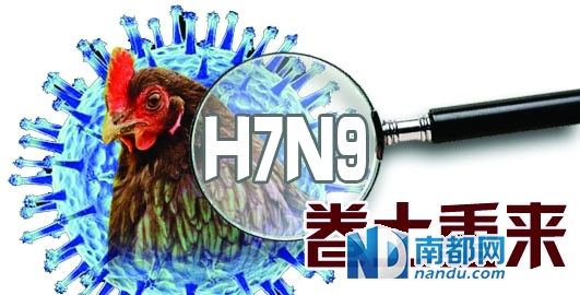 最新h7n9疫情,最新H7N9疫情，全球關(guān)注與防控措施