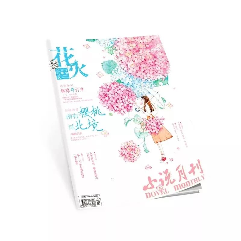 花火最新雜志,花火最新雜志，點(diǎn)燃青春，綻放文學(xué)之光